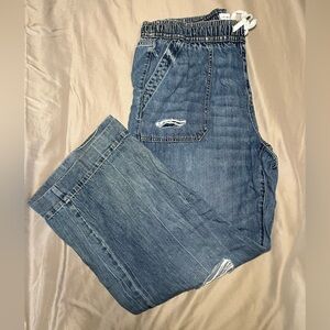 Lane Bryant Classic Blue Denim Jeans